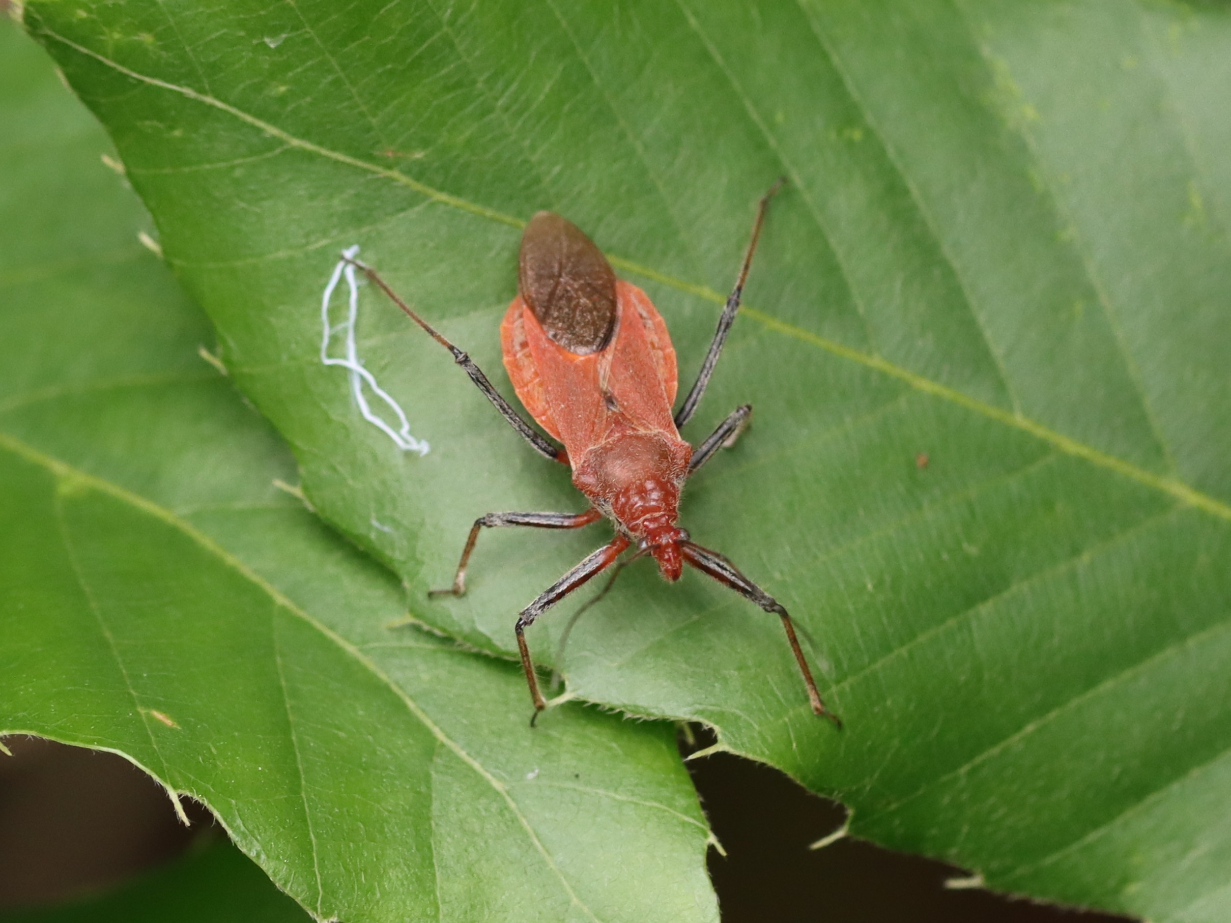 photo_1